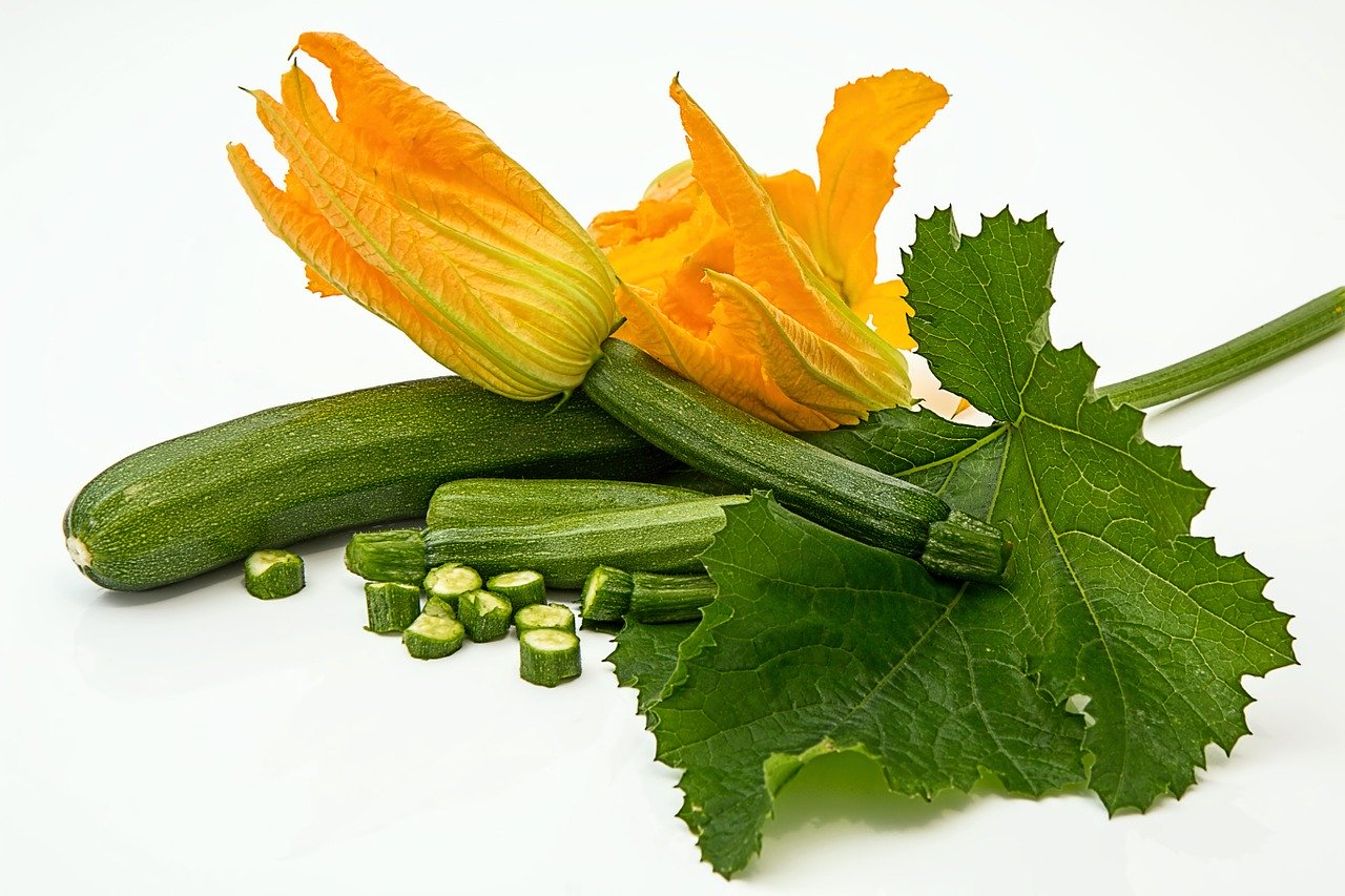 zucchini best garden vegetables